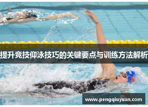 提升竞技仰泳技巧的关键要点与训练方法解析