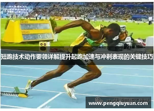 短跑技术动作要领详解提升起跑加速与冲刺表现的关键技巧