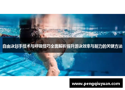 自由泳划手技术与呼吸技巧全面解析提升游泳效率与耐力的关键方法