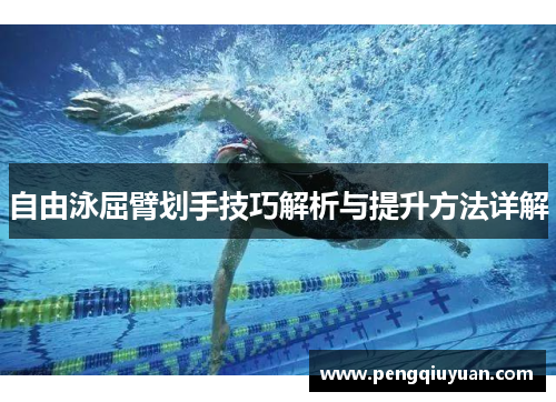 自由泳屈臂划手技巧解析与提升方法详解