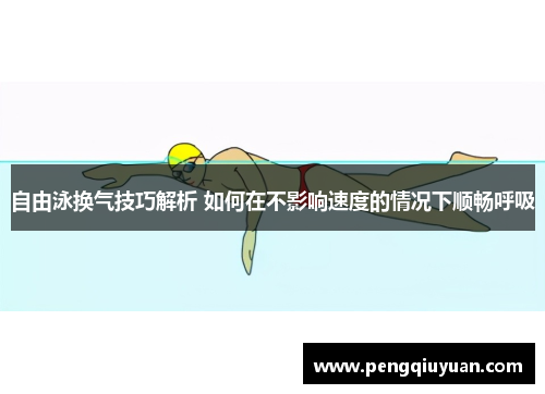 自由泳换气技巧解析 如何在不影响速度的情况下顺畅呼吸