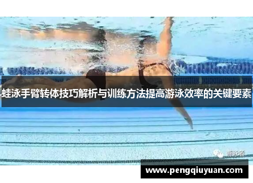 蛙泳手臂转体技巧解析与训练方法提高游泳效率的关键要素