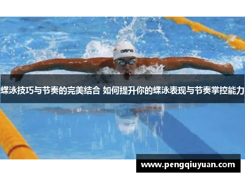 蝶泳技巧与节奏的完美结合 如何提升你的蝶泳表现与节奏掌控能力