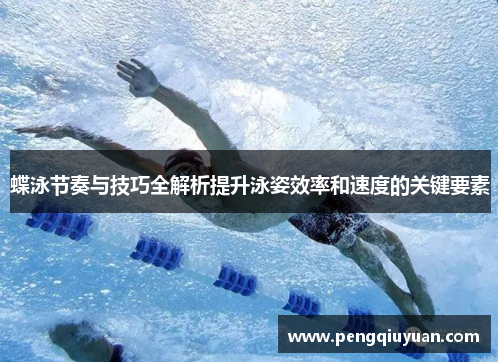 蝶泳节奏与技巧全解析提升泳姿效率和速度的关键要素